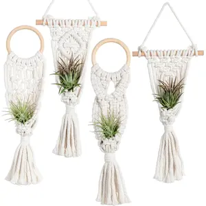 4 Pack Air  Holders Stand Air Fern Macrame  Hanger Indoor  Planter Basket for Tillandsias Display, Boho  Decoration  Idea