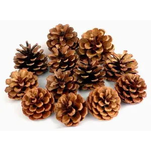 Bulk Christmas Pine Cones for  Party Decorations,Christmas Tree Fall Ornaments-30Pack