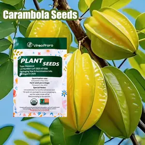 Starfruit Seeds for Home Gardening – Easy-to-Grow, Beginner Friendly Fruit Tree Seeds for Backyard, Patio, Balcony, or Container Planting – Sweet Juicy Carambola