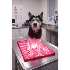 RedWell™ Pet Mat