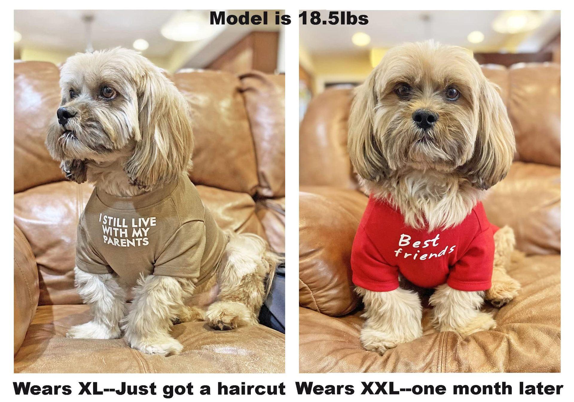 Pet Clothes Round Neck T-shirt