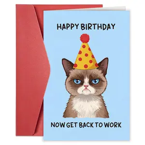 1PC Funny Grumpy Cat Birthday Card for Coworker Boss, Fun Party Cards, Humor Birthday Gifts for Work Friend, Happy Birthday Now Get Back To Work