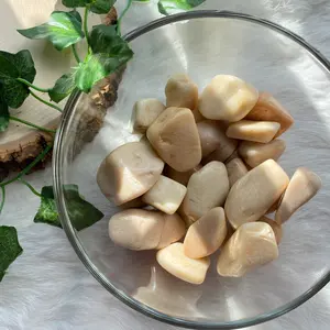 Peach MoonStone Crystal Tumble