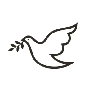 background preload poster image 