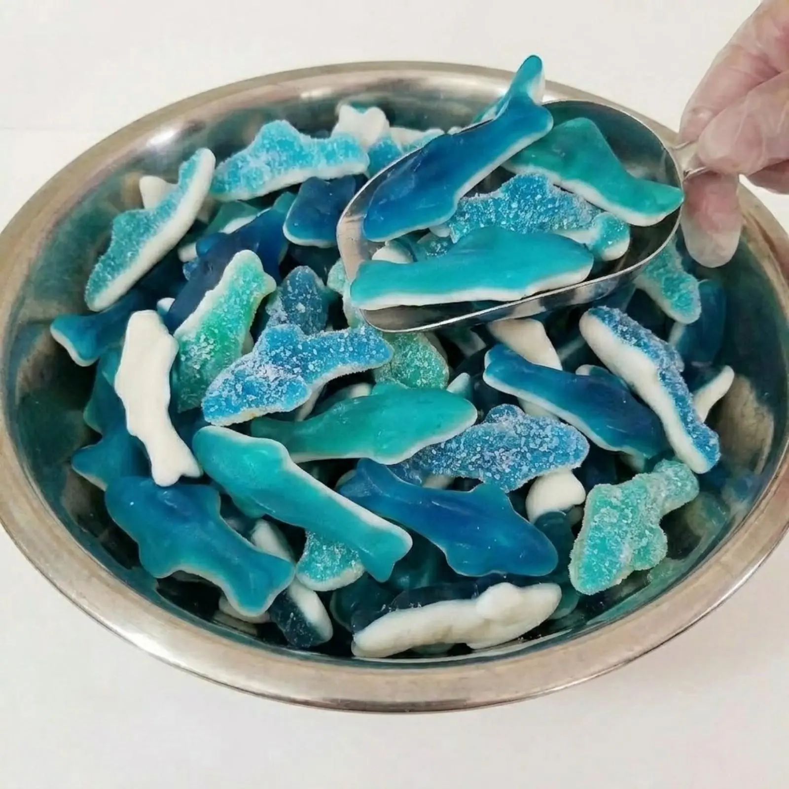 Gummy Sharks -Sour Sharks or Sweet Sharks Your Selection