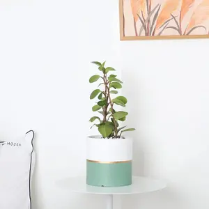 4.7in Ceramic Pot Green Gold