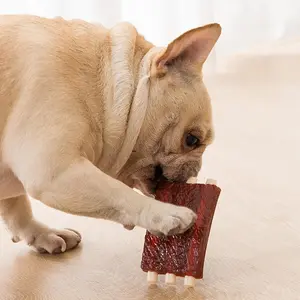 Durable Bone Chew Toy for Dogs, Attractive Scented Design, Ideal for Small & Medium Breeds, Enhances Chewing Fun