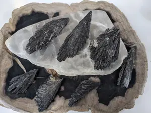Large Black Kyanite Fans Blades Natural Rough Slabs Healing Crystal Minerals Healing Reiki Chakras Raw Wing Specimens Protection