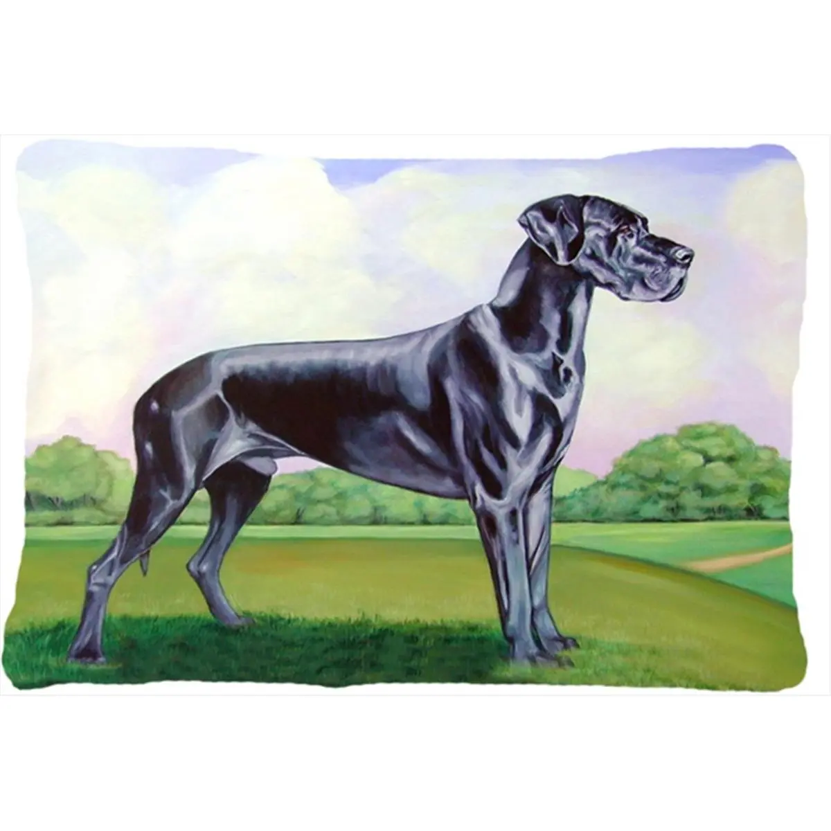 Great Dane Decorative Fabric Pillow, 16x3x12 in, Fade Resistant, Stain Resistant, Machine Washable, Indoor & Outdoor Use