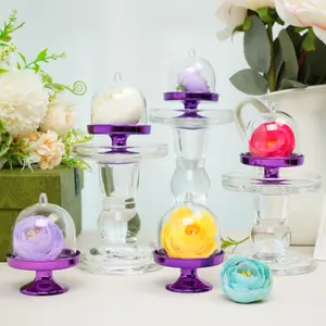 12pcs Mini Candy Box Cake Stand Cupcake Display Plate with Lid Party Supplies for Birthday Parties Decorations Dry Flower Container