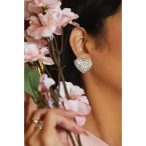 Everlasting Love Embellished Heart Earring - Silver