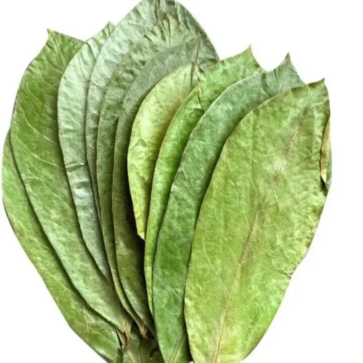 Organic Soursop Leaves