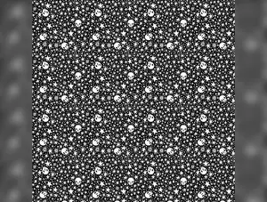 Witchy Ways | Starry Skulls - Black by Cori Dantini for FreeSpirit Fabrics | PWCD146.XBLACK