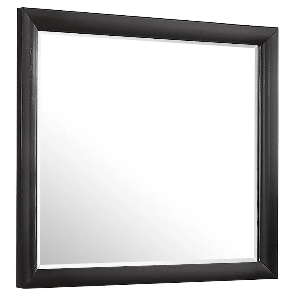 Briana Black Rectangle Contemporary Dresser Mirror - Home Decor for Bedroom Room Decor & Vanity Setup, Hanging