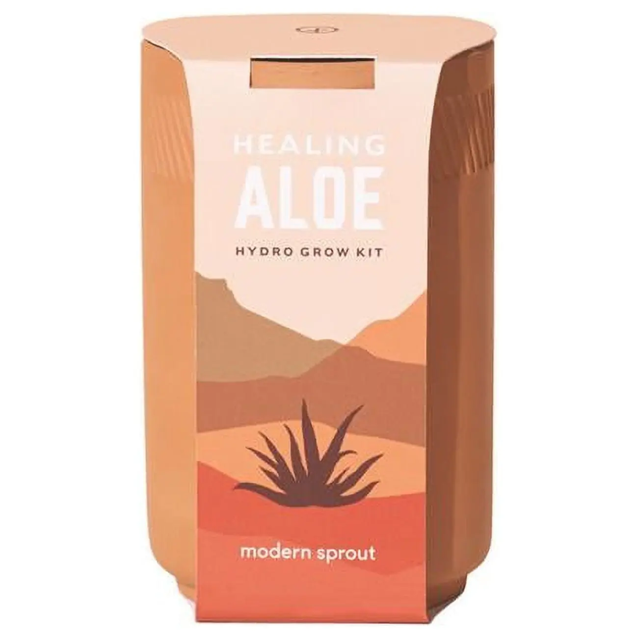Modern Sprout 7021666 Healing Aloe Succulent Seed Starter Kit - 6-Pack (Home Improvement, Garden Supplies, Greenhouses & Seed Starters), Seed Kit