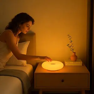 Minimalist ABS Wall Lamp: Rechargeable with No Wiring Required; Double-Function Design: Tabletop or Wall-Mounted; For Bedroom Bedsides, Studies, and Coffee Tables; Indoor Decorative Lighting Fixture
