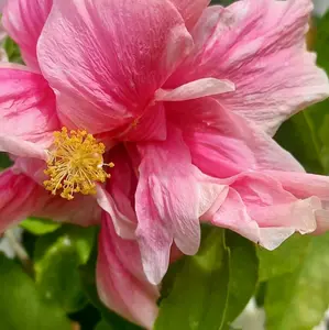 Inspirational Quotes