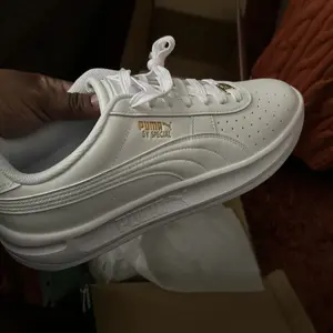 review image 8