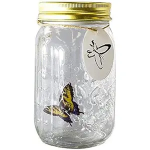 Animated Butterfly in A Jar, LED Light Romantic Glass Animated Butterfly Jar