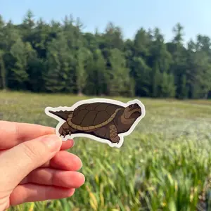 Snapping Turtle Waterproof Sticker