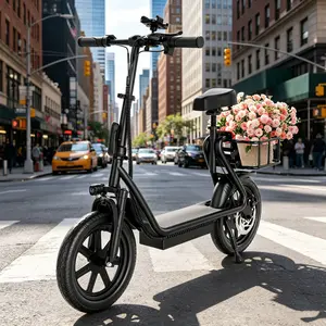A Powerful, safe and durable electric scooter for adults and teens, equipped with 14-inch pneumatic tires, comfortable seat and handy basket, ultra long range, pet-friendly design, ideal for daily commuting.
