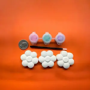 DIY Flower Paint Kit