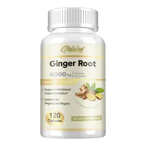 Pslalae+ Ginger Root Extract 4000mg - Supports Digestive Health - Daily Probiotics - 120 Dietary Supplements