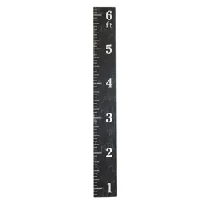Growth Chart Ruler