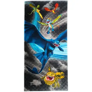 Franco How to Train Your Dragon Toothless Kids Super Soft Cotton Bath/Pool/Beach Towel