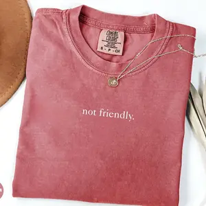 Comfort Colors  Not Friendly Shirt, Funny Humor Shirt, Trendy Shirt for Women, Funny Quote Tee, Sarcastic Shirt, Sarcasm Shirt, Meme T-shirt - Trendy Fashion USA