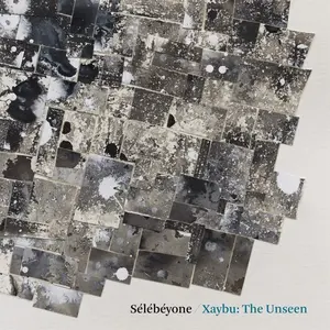 Steve Lehman - Xaybu: The Unseen  [VINYL RECORD - LP]