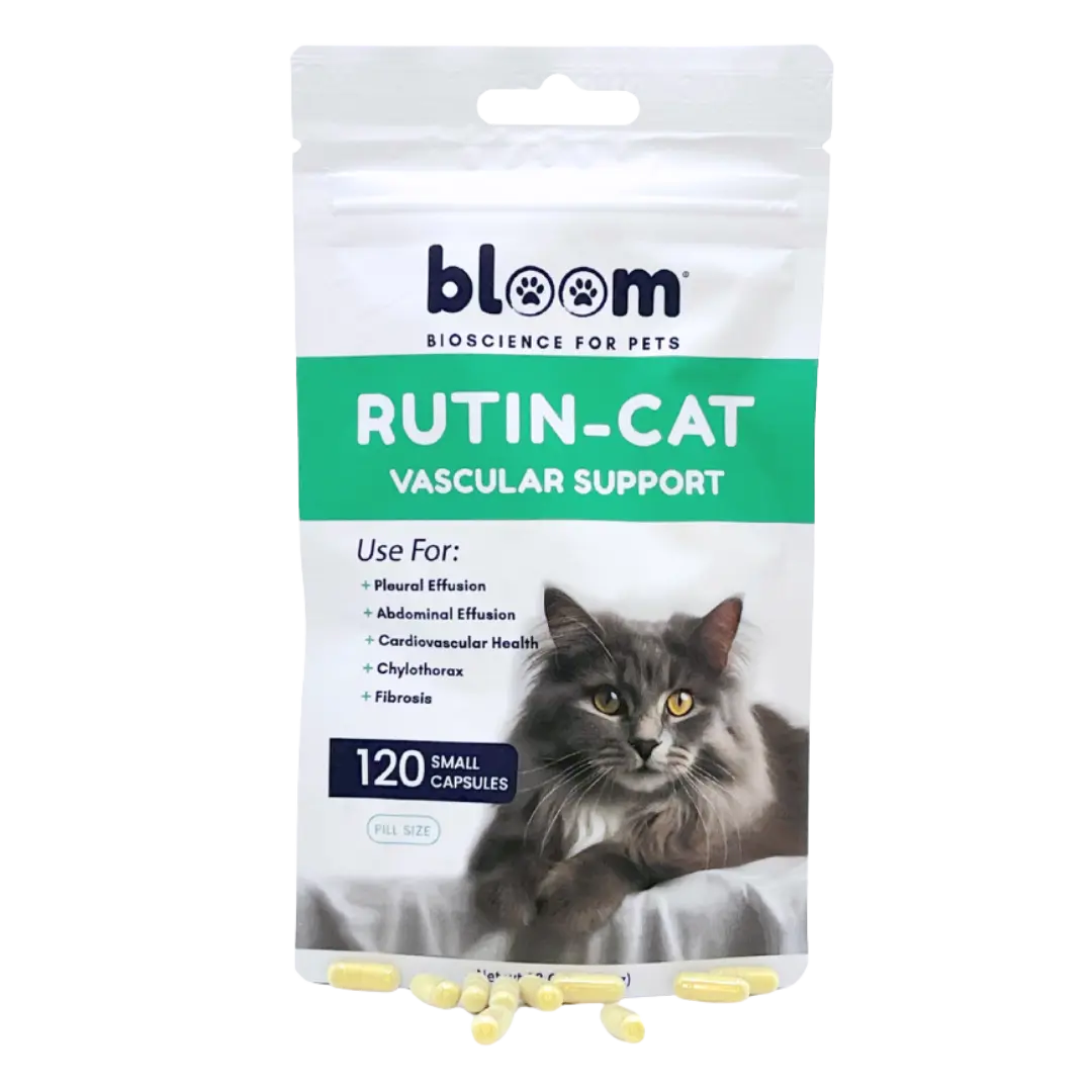 Bloom Rutin-Cat Vascular Support for Cats 120 Capsules 150mg Rutin for Pleural Abdominal Effusion Chylothorax Fibrosis