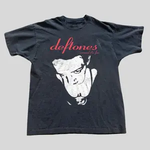 Deftones Around The Fur T Shirt, Alternative Metal Graphic, Vintage Y2K, 2000s Tee