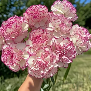 2 Bouquets Elegant Artificial Carnation Flowers with Pink Purple Embellishment Send Health Blessings Realistic Plastic Gift Bouquets for Home Decoration Weddings Festivals Events Desktop Decor Without Container