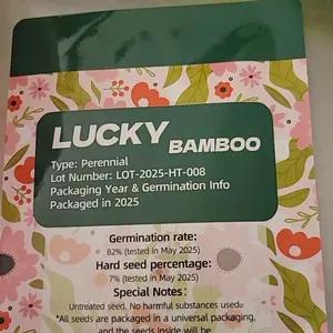 Lucky Bamboo Cypress Seed  - Live Indoor Houseplants for Home Decor,  Bamboo Plant, Indoor Low Light Plants, Feng Shui