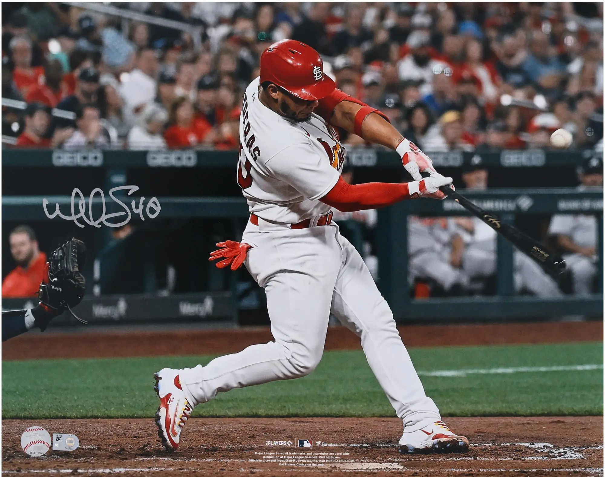 Willson Contreras St. Louis Cardinals Autographed 16" x 20" Hitting Photograph - Fanatics Authentic Certified