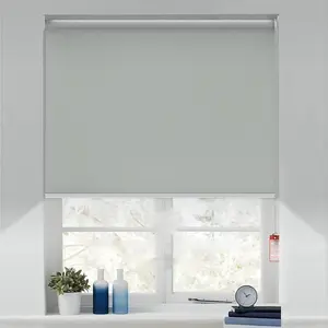 Blackout Roller Window Shades, Thermal Insulated Waterproof Fabric, Roll Pull Down Shades for Home and Office