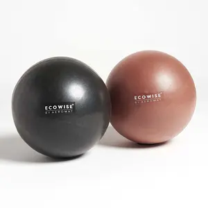 ECOWISE Pilates Ball