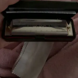 Blues Harmonica, 10 Hole Key of C Diatonic Harmonica, Easy to Play for Beginners, with Case