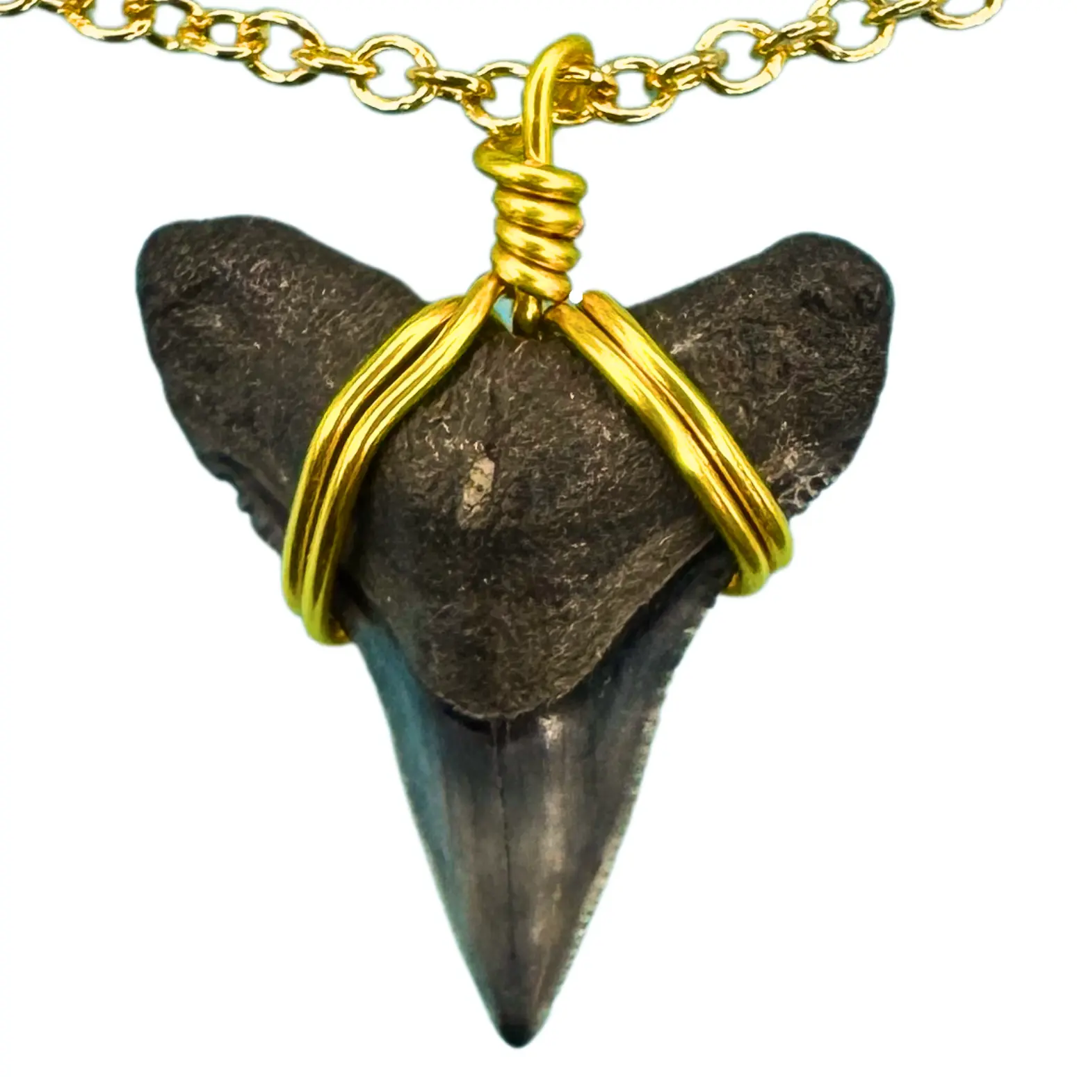Dainty 14K Gold Filled Marine Fossil Necklace