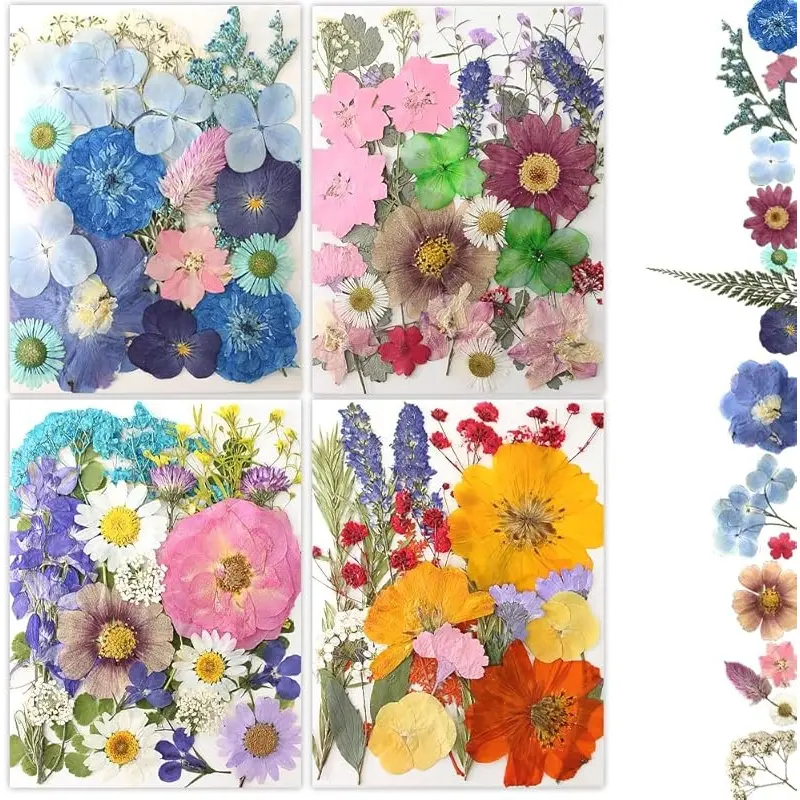 Multi Color-8