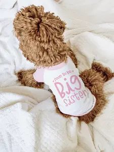Soon To Be Big Sister Big Brother Hearts Typography Dog Raglan Shirt