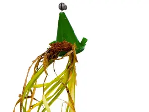 Fishing Weed Blocker | Keep Weeds off Hook, Bait and Lines | 1 Pack (3 pcs) | Keep Trolling Lines Weed Free | Rigs