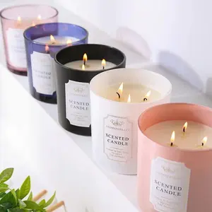 Aromatherapy Scented Candles - Handcrafted 100% Organic Natural Soy Wax with Premium Essential Oils for Relaxation & Gift Giving