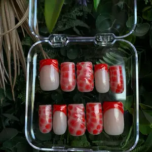 Red French Tip + Press On Nails + Gel X + Short Square Set in Clear Plastic Case