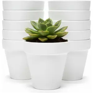 White Terracotta Flower Pots with Drainage Holes, 4 Inches, 24 Pack, Suitable for Planting and Decoration