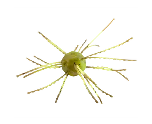 Strike King Tumbleweed Salted