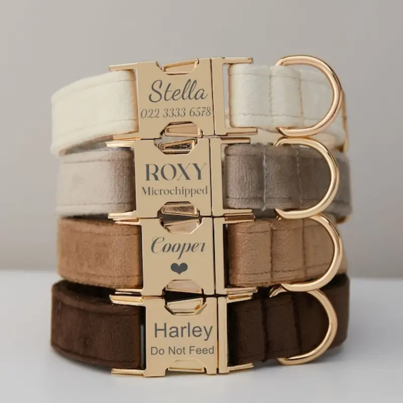 Elegant Velvet Dog Collar Leash Set With Bow - Multiple Colour Soft Cotton Lining Metal Buckle Traction Rope