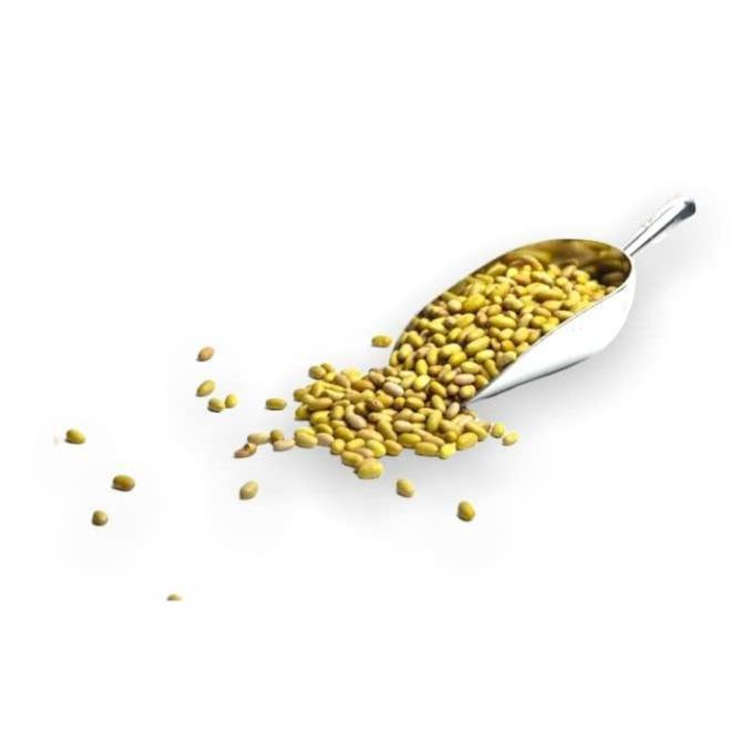 Yerbero - Frijol Peruano Mayocoba (Canary) Beans 3 LB Bag (1,360gr) - Mayo Coba Peruvian Beans, All Natural, Triple Washed, Premium Quality From Sinaloa Mexico.