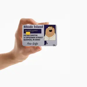 Peter Griffin - Driver's License Credit Card Cover Skin Decal Sticker (SMALL CHIP)